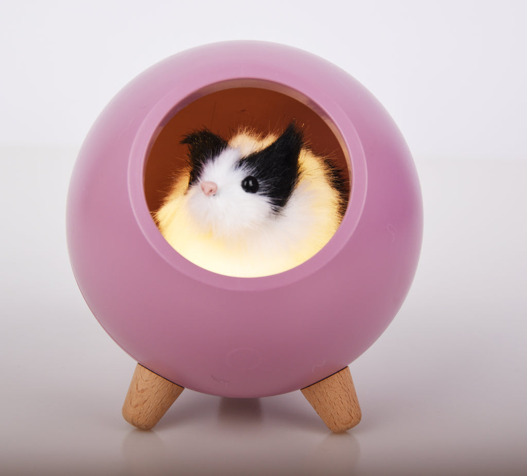 Rechargeable LED Pet House Night Light – Creative Kitten-Themed Desktop Mood Light for Bedroom Bedside & Nighttime Feeding