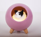 Rechargeable LED Pet House Night Light – Creative Kitten-Themed Desktop Mood Light for Bedroom Bedside & Nighttime Feeding